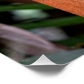 Ubud Reizen, Bali Reizen Perfect Poster (Hoek)