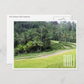 ubud rijstterrassen briefkaart (Voorkant / Achterkant)