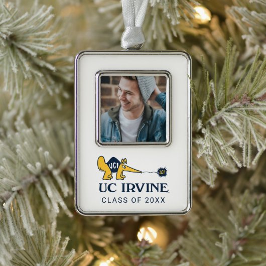 UC Irvine | UCI Anteaters Zot! Verzilverd Omlijst Ornament (Boom)