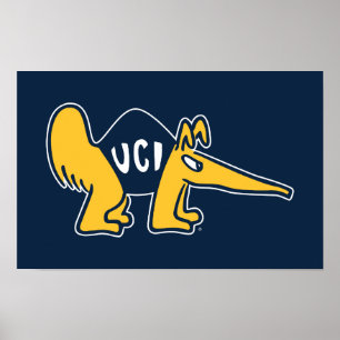UC Irvine UCI-voorverwarmers Poster