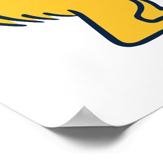 UC Irvine | UCI-voorverwarmers Poster (Hoek)