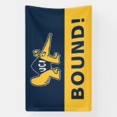 UC Irvine | UCI-voorverwarmers Spandoek (Verticaal)