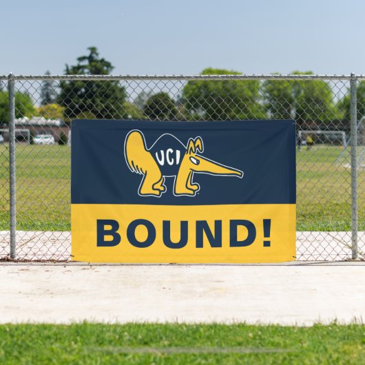 UC Irvine | UCI-voorverwarmers Spandoek (Insitu)