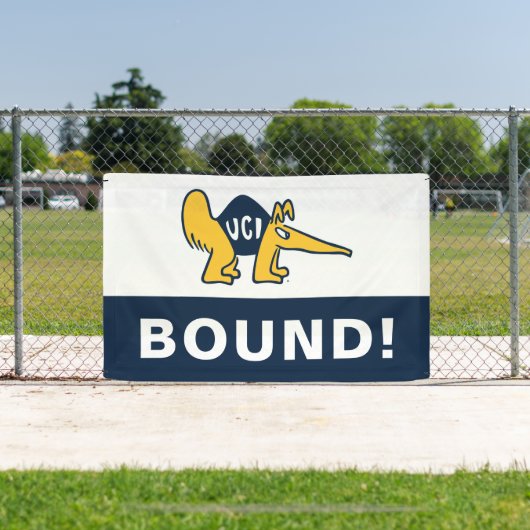 UC Irvine | UCI-voorverwarmers Spandoek (Insitu)