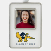 UC Irvine | UCI-voorverwarmers Verzilverd Omlijst Ornament (Voorkant)