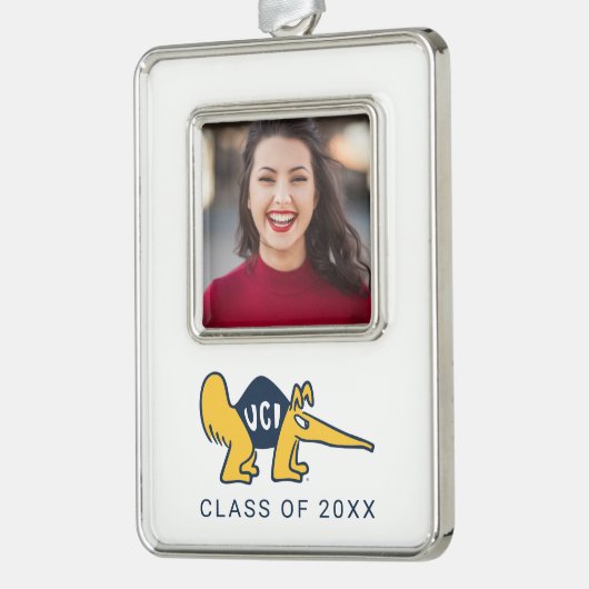 UC Irvine | UCI-voorverwarmers Verzilverd Omlijst Ornament (Links)