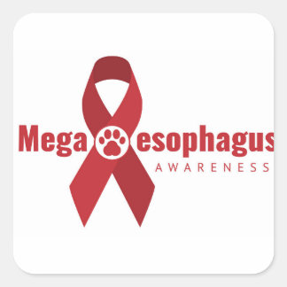 UCB Awareness Ribbon Stickers