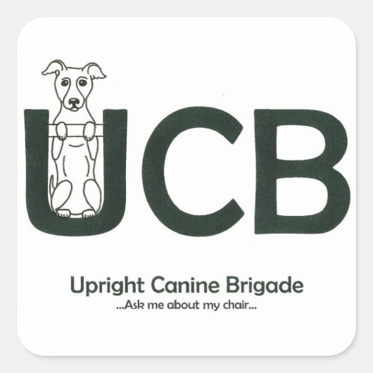 UCB logo-Stickers Vierkante Sticker (Voorkant)