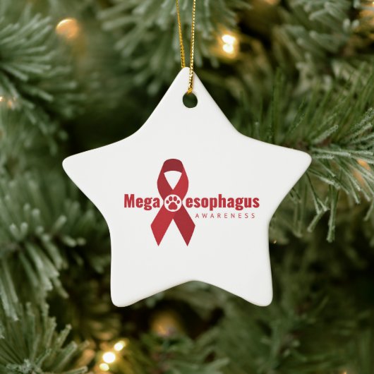 UCB Ornament MegaE Awareness Ribbon (Boom)