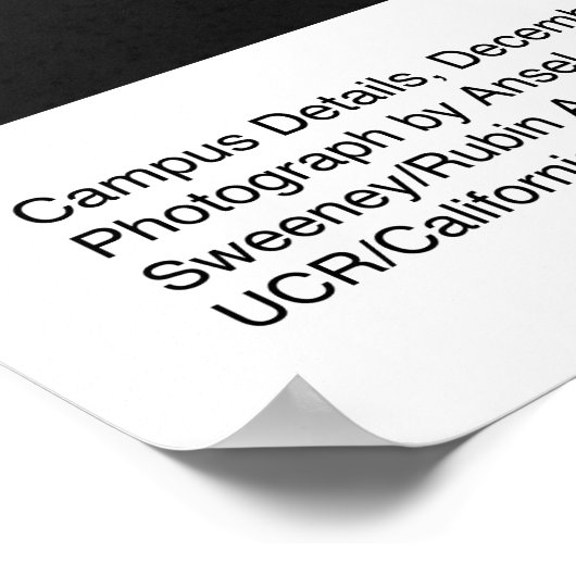 UCSD Campus Details van Ansel Adams Poster (Hoek)