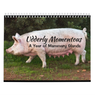 Udderly Momentous Kalender