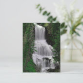 Udine Herfsten, Yellowstone Park, Wyoming Briefkaa Briefkaart (Staand voorkant)