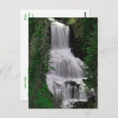 Udine Herfsten, Yellowstone Park, Wyoming Briefkaa Briefkaart (Voorkant / Achterkant)