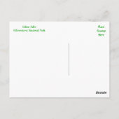 Udine Herfsten, Yellowstone Park, Wyoming Briefkaa Briefkaart (Achterkant)