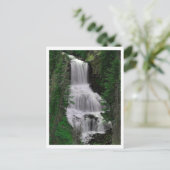 Udine Herfsten, Yellowstone Park, Wyoming Briefkaa Briefkaart (Staand voorkant)