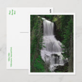 Udine Herfsten, Yellowstone Park, Wyoming Briefkaa Briefkaart (Voorkant / Achterkant)