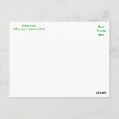 Udine Herfsten, Yellowstone Park, Wyoming Briefkaa Briefkaart (Achterkant)