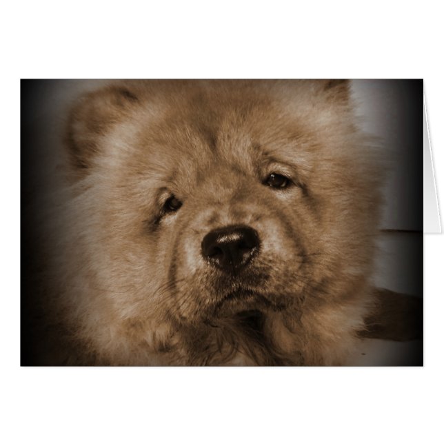 Udon, mijn Baby (Voorkant Horizontaal)