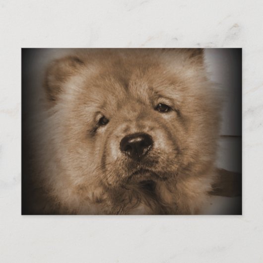 Udon, mijn Baby Briefkaart (Voorkant)