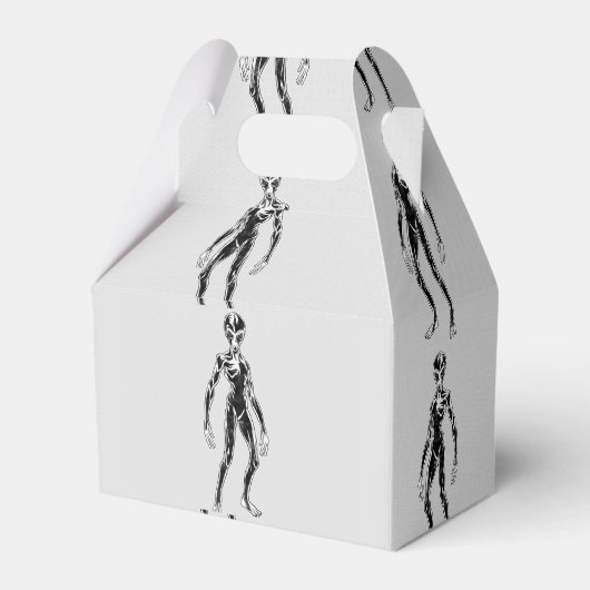 UFO Alien Thunder_Cove Bedankdoosjes (Achterkant)