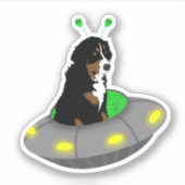 UFO Berner Berghond Sticker (Voorkant)