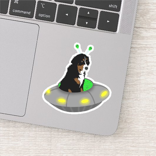 UFO Berner Berghond Sticker (Detail)