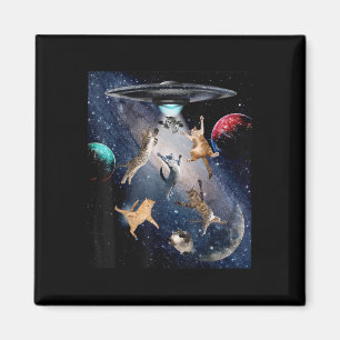 UFO Cats voor Volwassenen Galaxy Cats Schattigee k Magneet