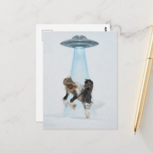 UFO die een prachtig paard oppikt Briefkaart