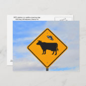UFO-grensovergang in New Mexico Briefkaart (Voorkant / Achterkant)