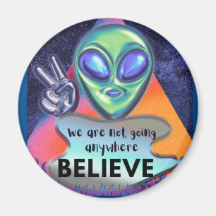 ufo magneet