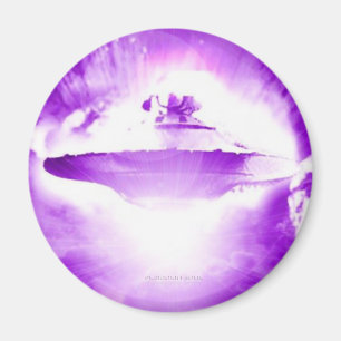 UFO Paarse aankomstmagneet Magneet