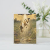 UFO picking up a Gorgeous Gypsy Vanner Horse Briefkaart (Staand voorkant)