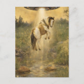 UFO picking up a Gorgeous Gypsy Vanner Horse Briefkaart (Voorkant)