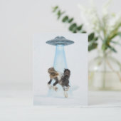 UFO picking up a Gorgeous Horse Briefkaart (Staand voorkant)