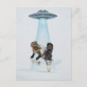 UFO picking up a Gorgeous Horse Briefkaart (Voorkant)