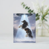 UFO picking up a Spotted Gypsy Vanner Horse Briefkaart (Staand voorkant)