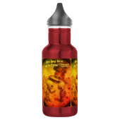 UFO Roswell 40-50s Waterfles (Links)