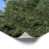 UFO-salamander in het Poster van de Devils Tower (Hoek)