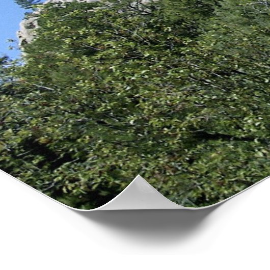 UFO-salamander in het Poster van de Devils Tower (Hoek)