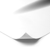 UFO Salamander Poster (Hoek)