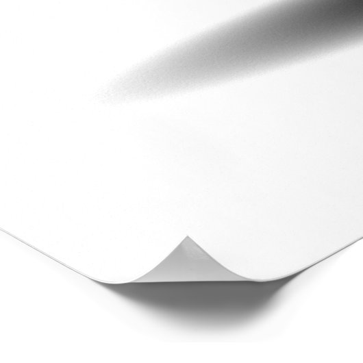 UFO Salamander Poster (Hoek)