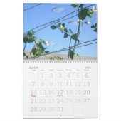 UFO-show over Los Gatos Kalender (Mar 2027)