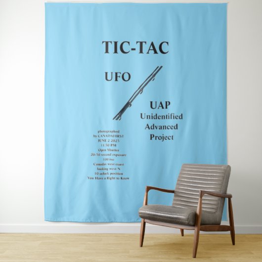 UFO WANDKLEED (In situ)