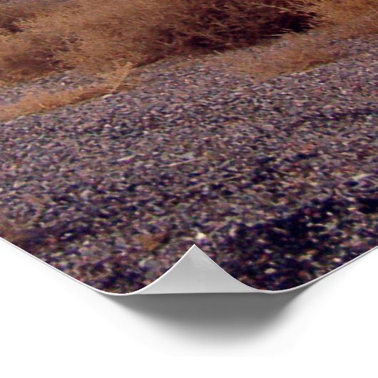 UFOs and Area 51 Poster (Hoek)