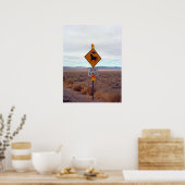 UFOs and Area 51 Poster (Keuken)