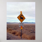 UFOs and Area 51 Poster (Voorkant)