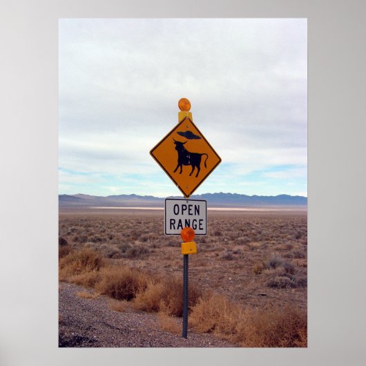 UFOs and Area 51 Poster (Voorkant)