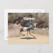 Uganda Crested Crane Briefkaart (Voorkant / Achterkant)