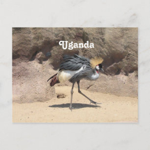 Uganda Crested Crane Briefkaart