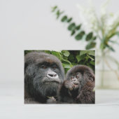 Ugandan Gorillas Briefkaart (Staand voorkant)